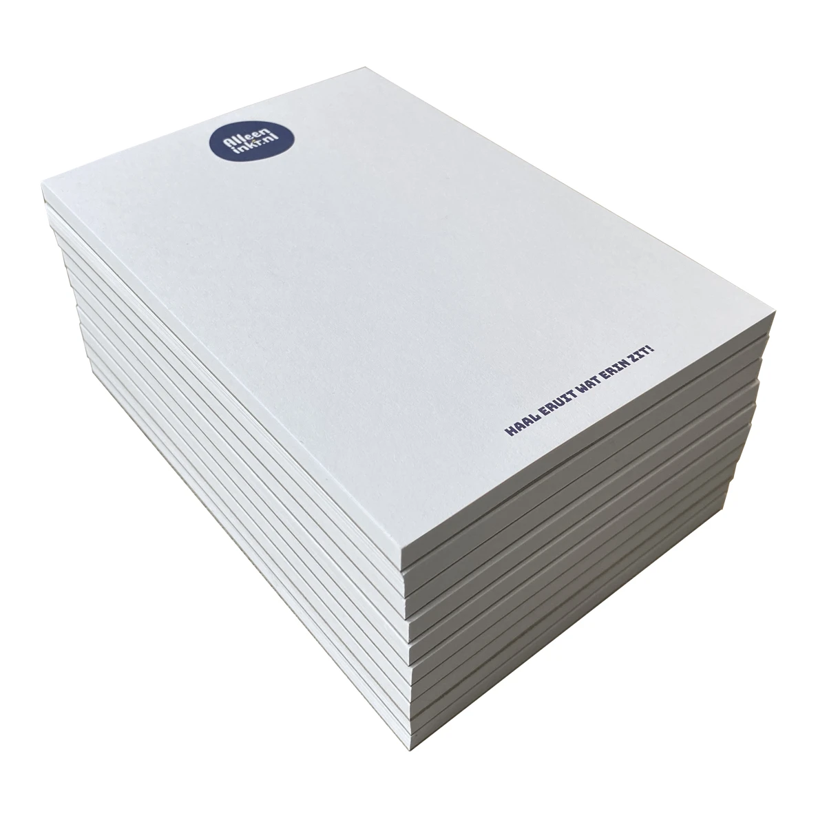 Alleeninkt A6 notitieblokken 105x148mm (10 stuks)