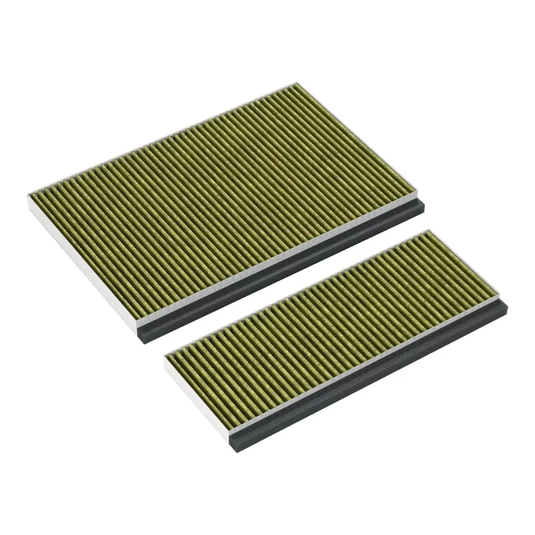 Bosch/Siemens 17005388/DWZ0AF0A0/LZ10AFA00/Z51AFA0X0 koolstoffilter afzuigkap 2 stuks (eigen merk)