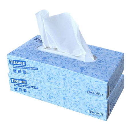 Cleaninq papieren zakdoeken 2-laags (2x100 stuks)